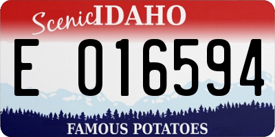 ID license plate E016594