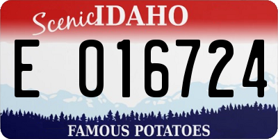 ID license plate E016724