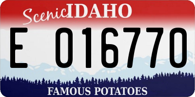 ID license plate E016770