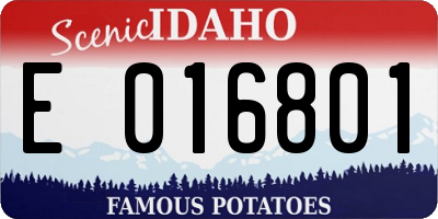 ID license plate E016801