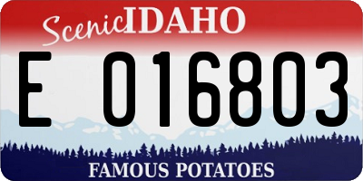 ID license plate E016803