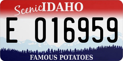 ID license plate E016959