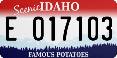 ID license plate E017103