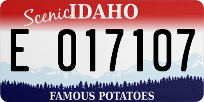 ID license plate E017107