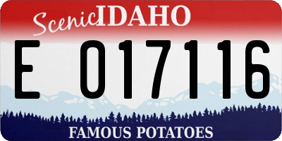 ID license plate E017116