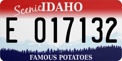 ID license plate E017132