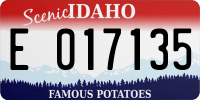 ID license plate E017135