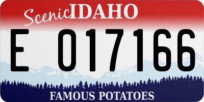 ID license plate E017166