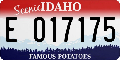 ID license plate E017175