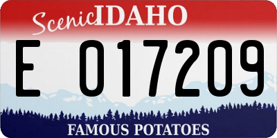ID license plate E017209