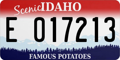 ID license plate E017213
