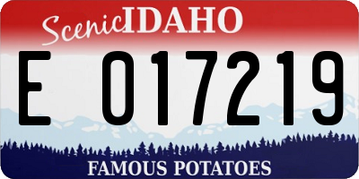 ID license plate E017219