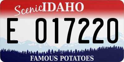 ID license plate E017220