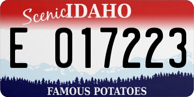 ID license plate E017223