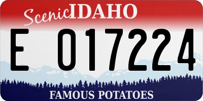 ID license plate E017224