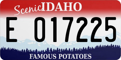 ID license plate E017225