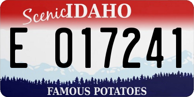 ID license plate E017241