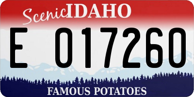 ID license plate E017260