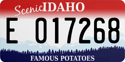 ID license plate E017268