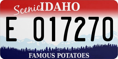 ID license plate E017270