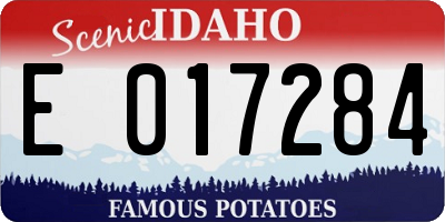 ID license plate E017284