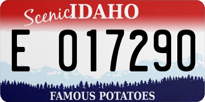 ID license plate E017290