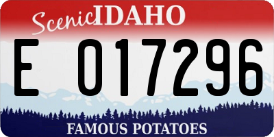 ID license plate E017296