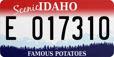 ID license plate E017310