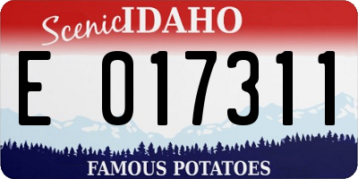 ID license plate E017311