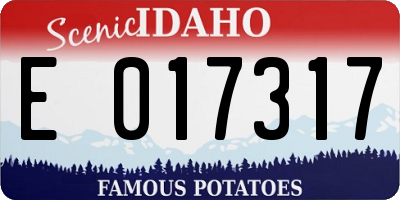 ID license plate E017317