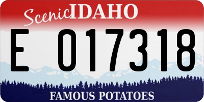 ID license plate E017318