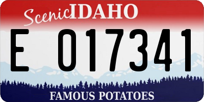 ID license plate E017341