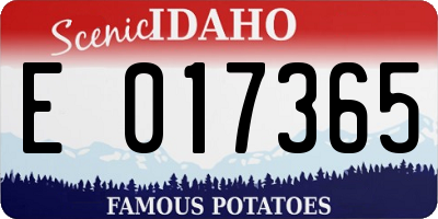 ID license plate E017365