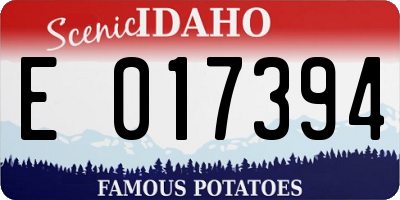 ID license plate E017394