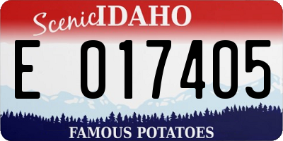ID license plate E017405