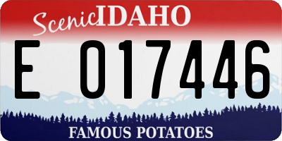 ID license plate E017446