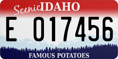 ID license plate E017456