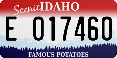 ID license plate E017460