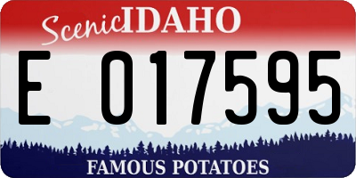 ID license plate E017595