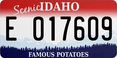 ID license plate E017609