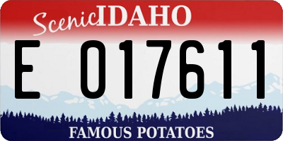 ID license plate E017611