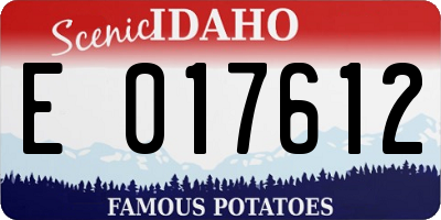 ID license plate E017612