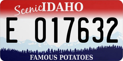 ID license plate E017632