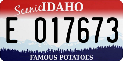 ID license plate E017673