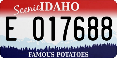 ID license plate E017688