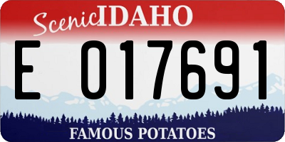 ID license plate E017691
