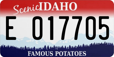 ID license plate E017705