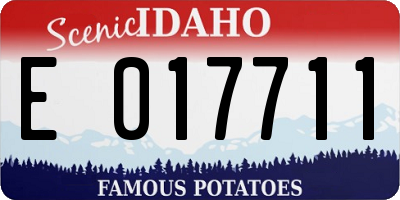 ID license plate E017711