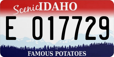 ID license plate E017729