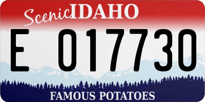 ID license plate E017730